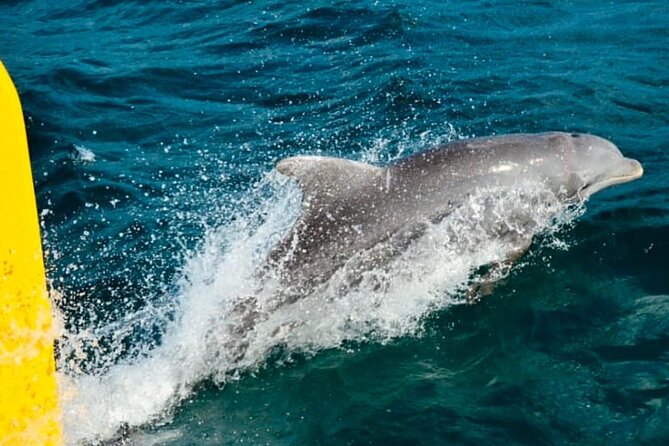 Party Catamaran: OpenBar, Music, Negril Beach, Caves, Snorkeling - Rick’s Cafe Stop: Sunset Magic That Can Change With Weather