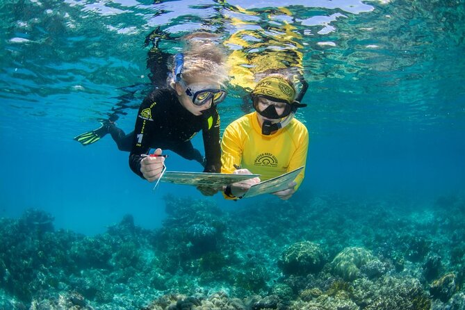 Passions of Paradise Great Barrier Reef Cruise by Catamaran - A 9-hour Outer Reef day from Cairns that actually feels organized