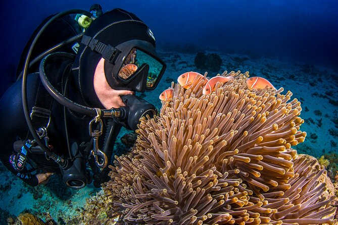 Passions of Paradise Great Barrier Reef Cruise by Catamaran - Food and onboard breaks: tea, buffet lunch, and the reef talk