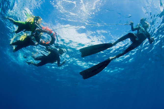 Passions of Paradise Great Barrier Reef Cruise by Catamaran - Safety, seasickness, and reef rules that matter
