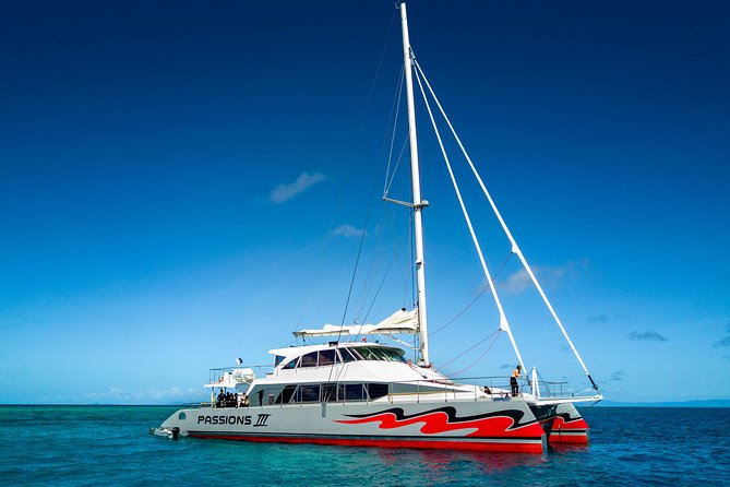 Passions of Paradise Great Barrier Reef Cruise by Catamaran - The 80-foot catamaran setup: comfort, not just transport