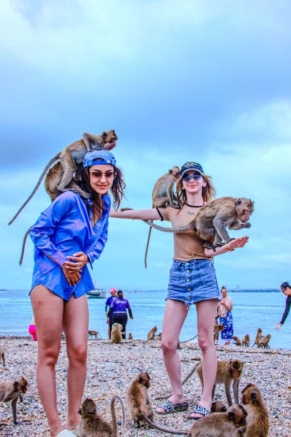 Pattaya: Exclusive 3-Island Catamaran Tour with Buffet Lunch - Key Highlights You’ll Actually Feel During the Day