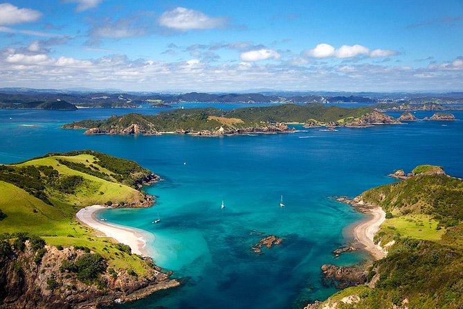 Phantom Sailing Bay of Islands - Price and value: is $121.01 worth it?