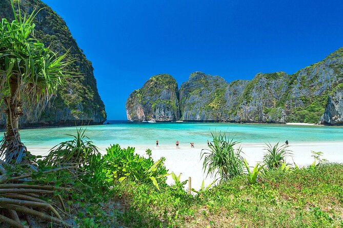 Phi Phi & Bamboo Island Full Day Tour by Premium Speed-Catamaran - Pileh Lagoon, Viking Cave, and Monkey Bay: Quick Stops That Add Texture