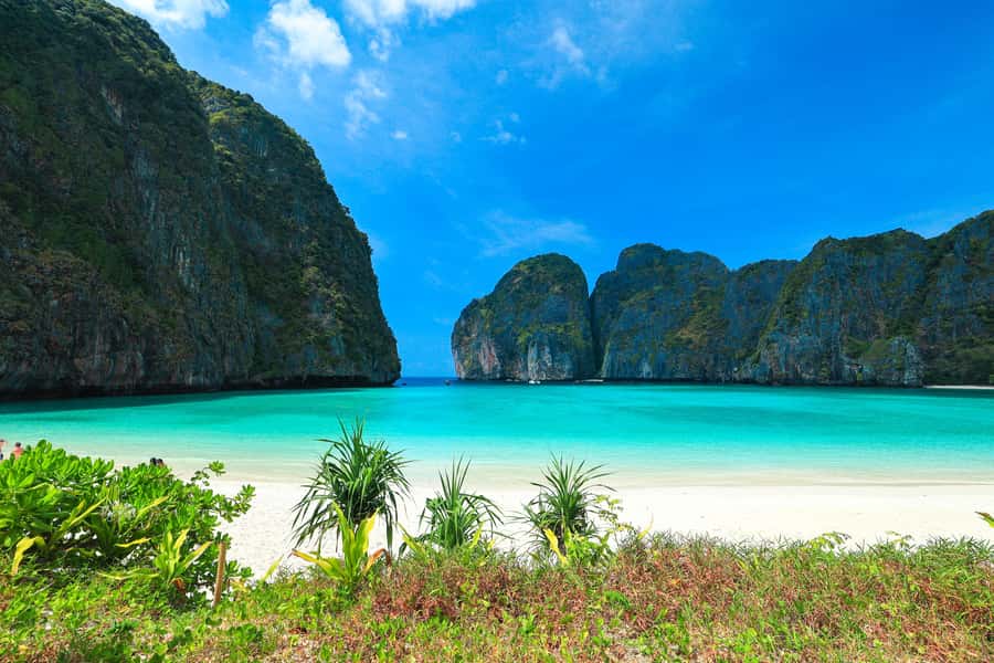 Phuket: Bamboo Island and Phi Phi Islands by Fast Catamaran - Price and Value for an 8-Hour Islands Sprint