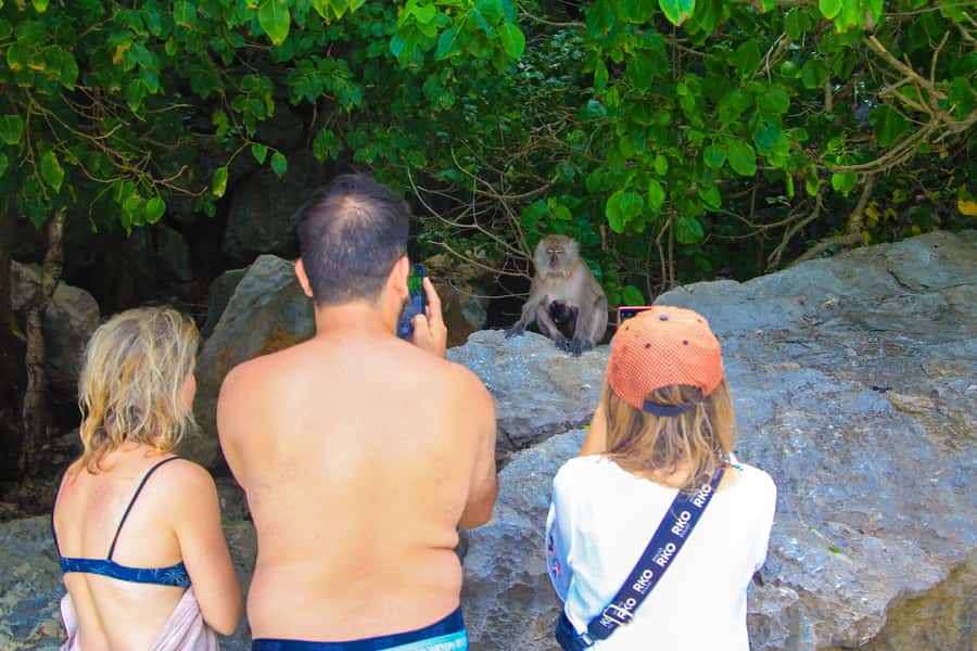 Phuket: Phi Phi Khai or Maiton Island by Speedboat/Catamaran - Maya Bay rules plus Viking Cave pass-by