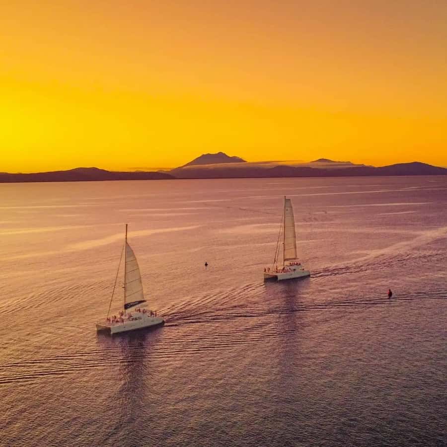 Port Douglas: Low Isles Afternoon Cruise on Luxury Catamaran - Three hours at Low Isles: blue lagoon time is the heart of the trip