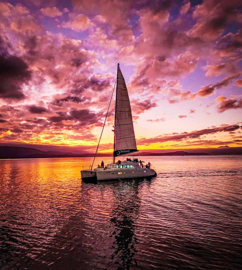 Port Douglas: Low Isles Afternoon Cruise on Luxury Catamaran - Sunset sail back to Port Douglas with Daintree views