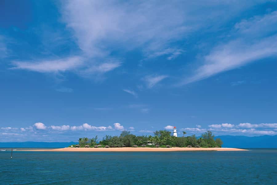 Port Douglas: Low Isles Afternoon Cruise on Luxury Catamaran - Packing list: don’t show up under-prepared
