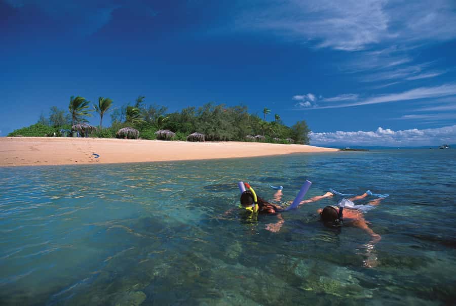 Port Douglas: Reef & Low Isles Cruise on Luxury Catamaran - The catamaran run: Port Douglas to Low Isles without the stress