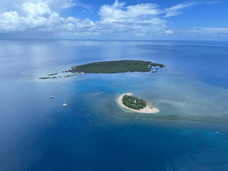 Port Douglas: Reef & Low Isles Cruise on Luxury Catamaran - 4.5 hours on Low Isles: coral cay beaches, a heritage walk, and real breathing room