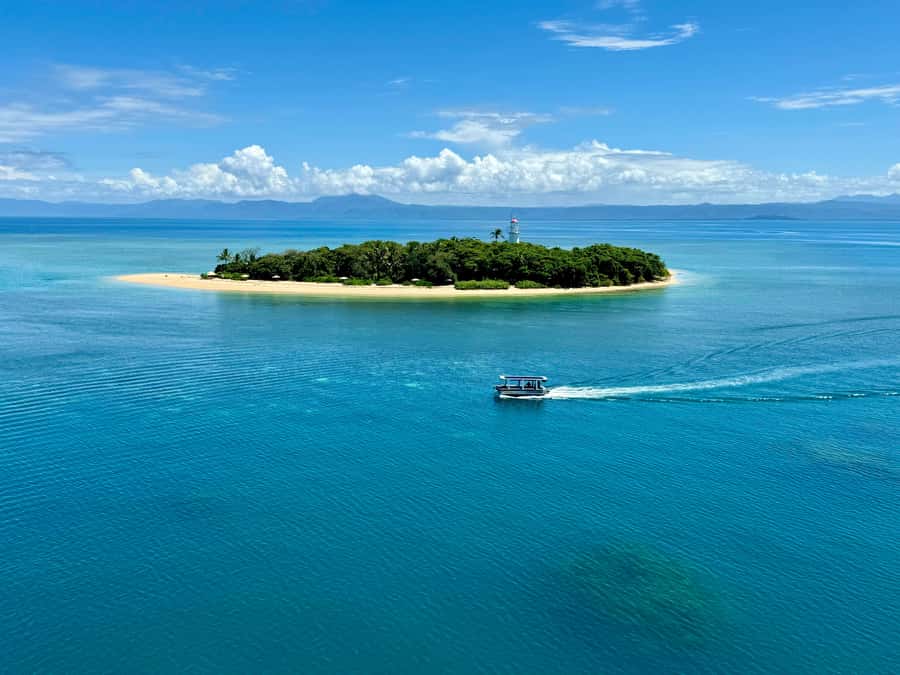 Port Douglas: Reef & Low Isles Cruise on Luxury Catamaran - Snorkelling with marine naturalists: gear, instruction, and what to expect underwater