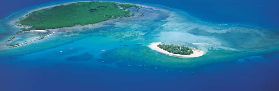 Port Douglas: Reef & Low Isles Cruise on Luxury Catamaran - Price and value: is $240 a smart buy for a full-day reef cruise?