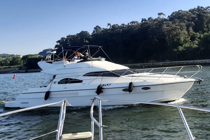 PORTO : Premium Yacht Tour – 6 Bridges & Douro Estuary Reserve - Why Porto’s 6 Bridges look better from the water