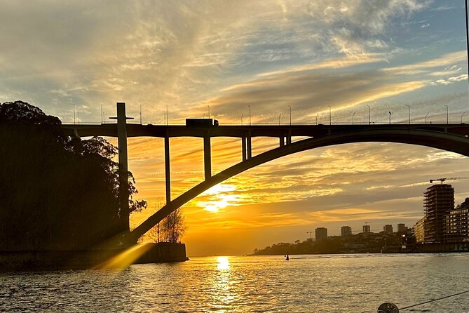 Porto: Yacht Small-Group Douro River Cruise & 6 Bridges w/ Drink - Ponte da Arrabida and the first bridge “wow” moment