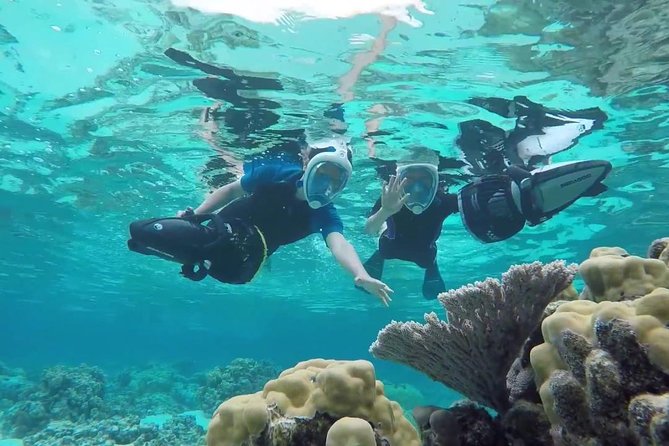Premium Catamaran Afternoon Sail: Snorkeling and Lunch - Your two snorkeling stops: Antilla then Malmok Reef