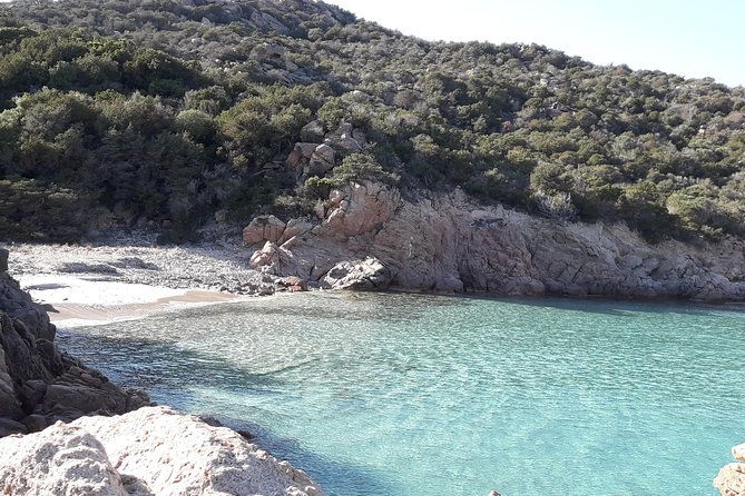 PREMIUM catamaran excursion archipelago of La Maddalena - Porto della Madonna: first island, easy swimming