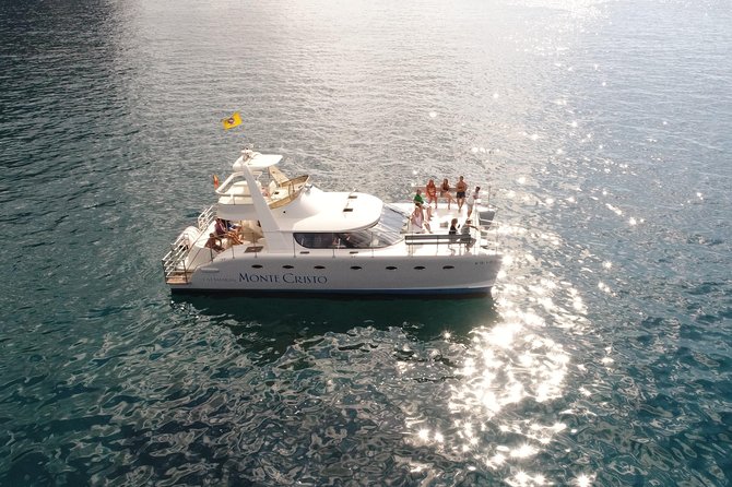 Private Catamaran Charter with Transfer, Buffet and Snorkeling - Wildlife spotting without the crowds