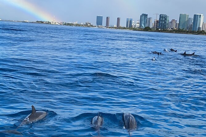 Private Catamaran Cruise and Snorkeling Tour in Honolulu - What’s included onboard (and what you’ll need to bring)