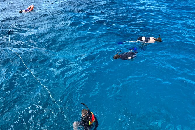 Private Catamaran Cruise and Snorkeling Tour in Honolulu - Crew style: why people keep praising the Captain and first mate