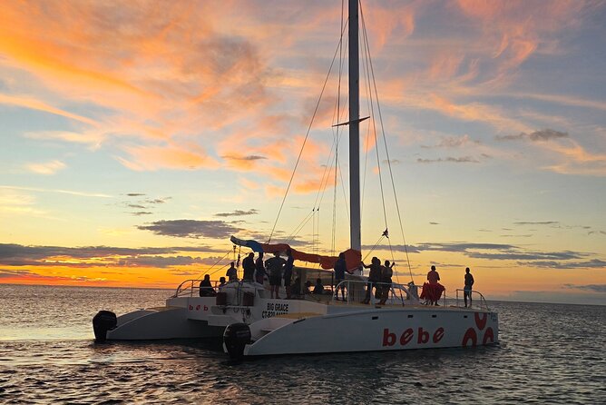 Private Catamaran Cruise to Bahia de las Aguilas - How Group Size Can Affect Your Experience