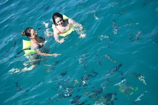Private Catamaran Snorkeling Cruise in Los Cabos - Who Runs the Day: Danny, Lonny, and the Crew’s Hosting Style