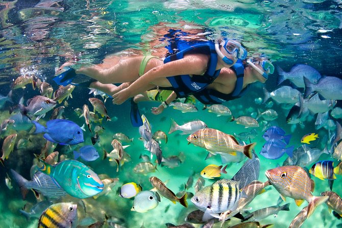 Private Catamaran Snorkeling Family Adventure - Onboard fun: open bar, Caribbean music, and dance lessons