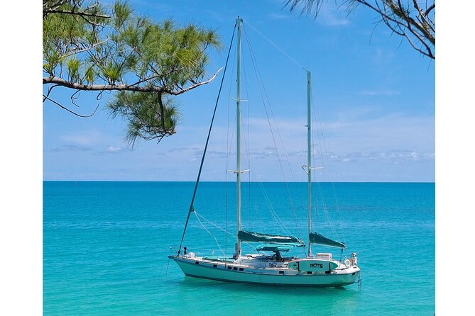 Private Catamaran Swim sail snorkel cliff jumping SUP - Snorkeling Time: Where the Fish Factor Really Comes In