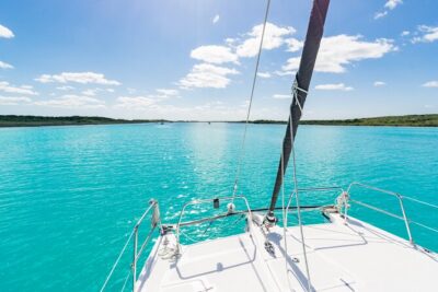 Private Catamaran Tour - Cenotes, Stromatolites, and Seeing the Lagoon’s Source System