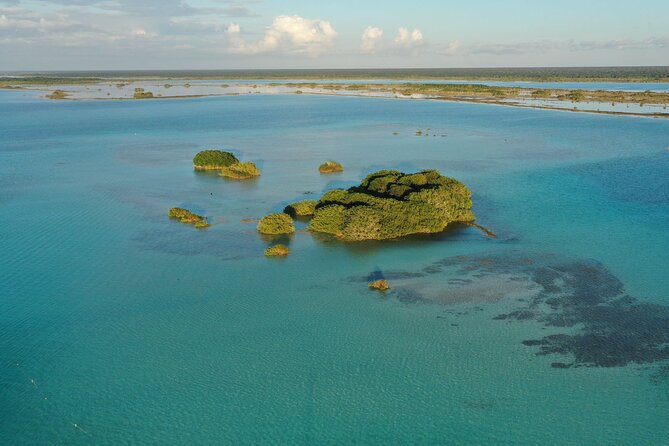 Private Catamaran Tour - Who Should Book This Private Catamaran Tour