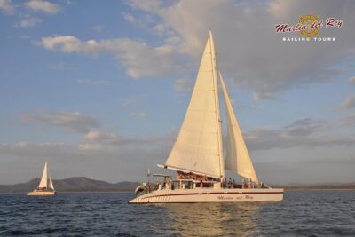 Private Catamaran Tour on Marlin del Rey - The Sail Out: Wildlife-Watching With Real Expectations