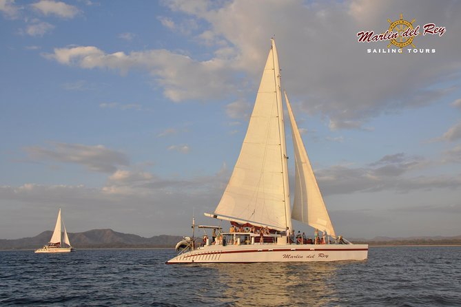 Private Catamaran Tour on Marlin del Rey - The Sail Out: Wildlife-Watching With Real Expectations