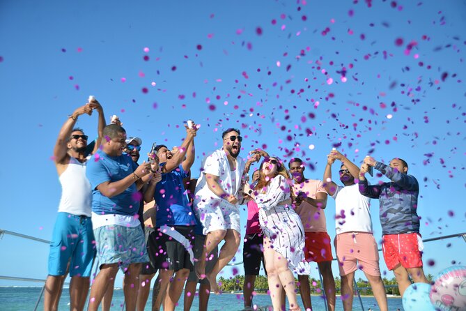 Private Catamaran with Sound system, Slide, Open bar & Snorkeling - Wildlife chances: dolphins, sharks, and rays from the boat