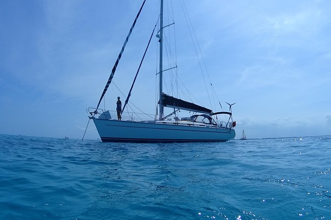 Private Customizable Sailing Tour in Cancun - Sailing the Bay of Cancun: dolphins, fishing, and the slow start