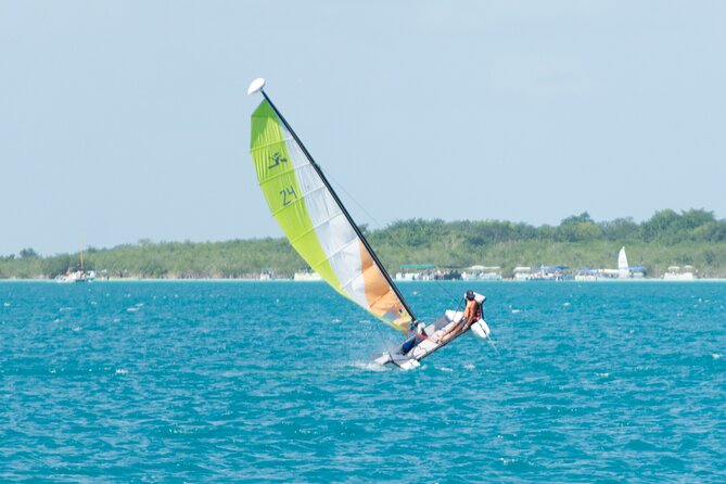 Private Eco-Tour on a Recreational Catamaran with Kayaks Included - Who this private eco-tour is best for