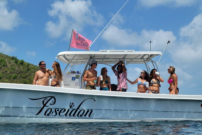 Private Fast Power Catamaran. Full or Half Day for Beach Hopping, Snorkel & Swim - Snorkeling for turtles and colorful fish: what’s really included