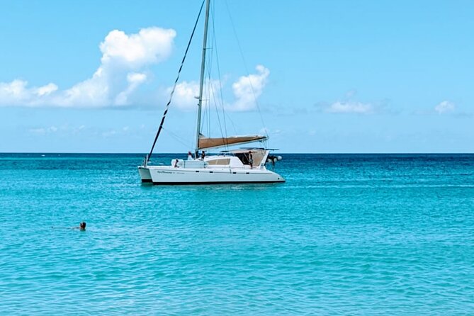 Private Full-Day Catamaran Sailing Charter in St Maarten - Around-the-Island sailing route: La Samanna, Creole Rock, and Tintamarre turtles
