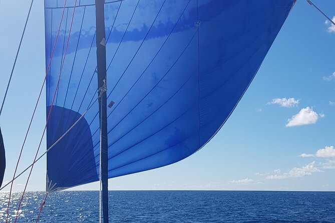 Private Full-Day Catamaran Sailing Charter in St Maarten - Food and drinks on board: open bar plus a hot BBQ lunch