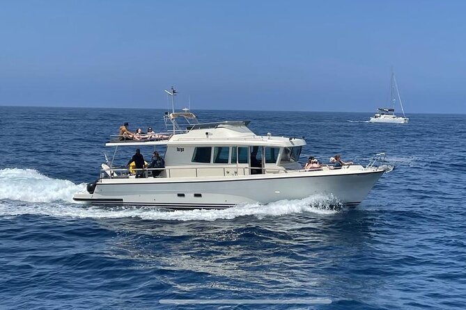 Private Full-Day Motor Yacht Cruise with Meal, Open Bar+Transfers - What’s included: meals, open bar, and snorkeling gear (the stuff you’ll actually use)