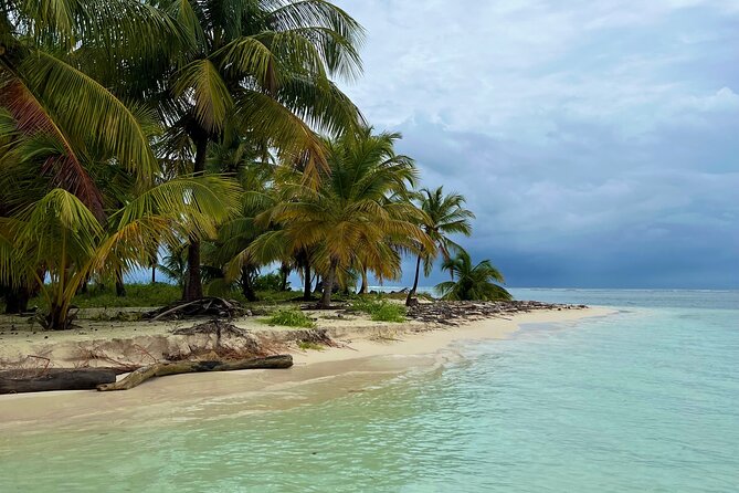 Private Half-Day Catamaran Cruise, Turks and Caicos Islands - Price and value for $1,990 per group (up to 11)