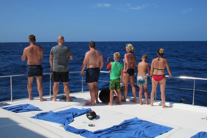 Private Luxury Catamaran Cruise in St. Lucia - Snorkeling Gear, Dolphins, and How to Make the Water Time Count