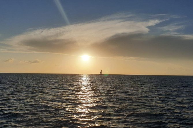 Private Luxury Catamaran - Saona or Catalina island - Las Palmillas and Off-Route Coastal Views