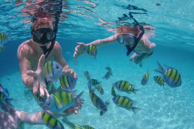 Private Luxury Sailing Cruise in Los Cabos with Lunch and Open Bar - Getting to the Los Cabos Marina: Plan Around the Early Pickup