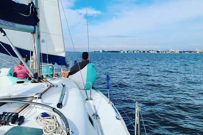 Private Luxury Yacht Charters, BYOB & Dolphins - When You Might See Dolphins (and When You Might Not)