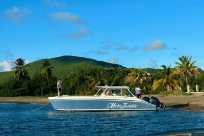 Private Power Catamaran Adventure in Saint Kitts and Nevis - The 4-Hour Plan From Basseterre: How the Day Flows