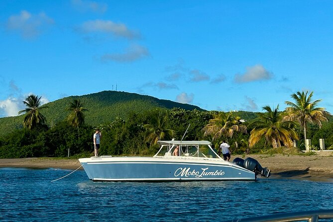 Private Power Catamaran Adventure in Saint Kitts and Nevis - The 4-Hour Plan From Basseterre: How the Day Flows