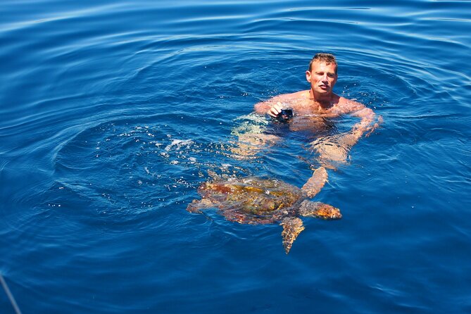 Private Sailing - dolphin Experience Estepona - drink & food - 4h - Gibraltar scenery you’ll actually feel on a sailboat