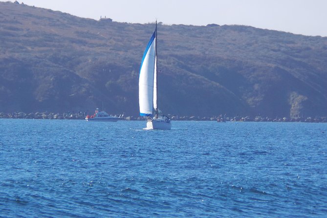 Private Sailing Tour of Bodega Bay - Key highlights before you book