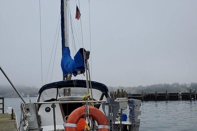 Private Sailing Tour of Bodega Bay - Views and wildlife: what you should hope for (and what you can’t control)