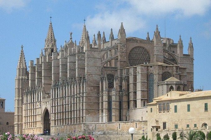 Private sailing with Paella and Tapas in Palma - Key Points Before You Go